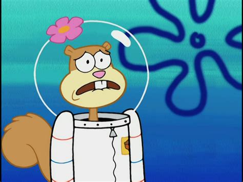 spongebob porn sandy cheeks|Sandy Cheeks The Animation! .